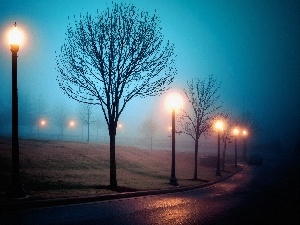 autumn, viewes, trees, Way, Fog, Automobile, lanterns