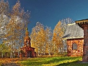 viewes, trees, temple, autumn, decorating