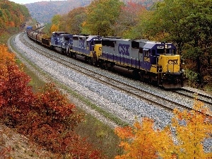 viewes, trees, Train, autumn, ##