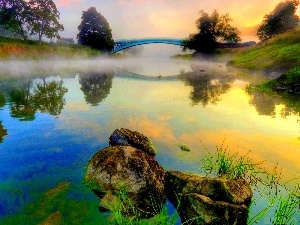 viewes, Fog, trees, River, bridge, Stones