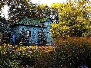 viewes, trees, Home, Bush, garden