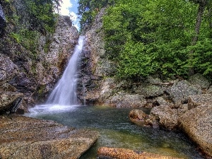 viewes, trees, waterfall, Bush, Stones