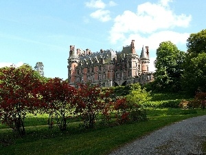 viewes, trees, Castle, lane