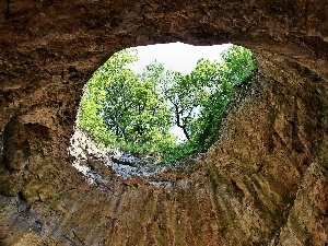 viewes, trees, cave, hole