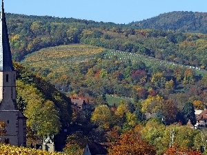 viewes, trees, Church, field