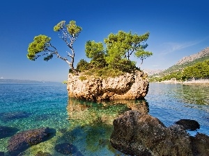 viewes, trees, Coast, Rocks