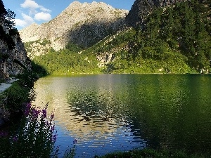 viewes, trees, lake, Conifers, Mountains