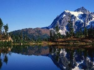 viewes, Mountains, trees, lake, Conifers, Snowy
