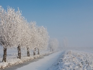 viewes, frosty, trees, Frozen, Field, River