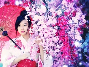 Garden, viewes, trees, Beauty, umbrella, Japanese girl, flourishing