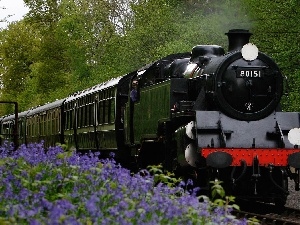 viewes, trees, Train, Flowers, locomotive