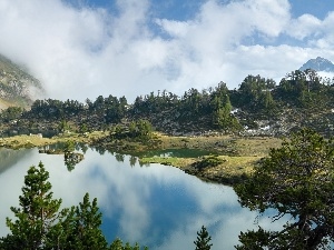 viewes, trees, lake, Fog, Mountains