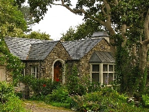 viewes, trees, country, garden, Home