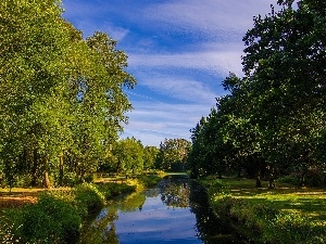 viewes, trees, Park, grass, River