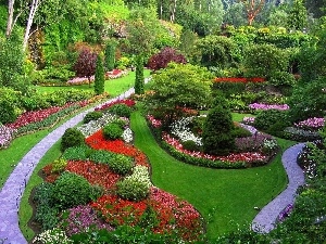 viewes, Flowers, trees, Park, grass, Gardens