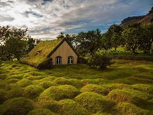 viewes, trees, house, Dugout