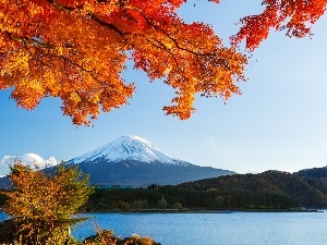 viewes, woods, trees, Fuji, Japan, lake