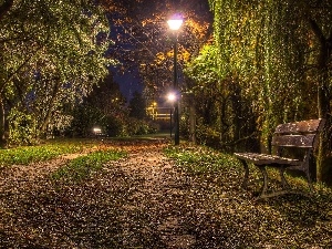 viewes, Bench, trees, Park, Lamps, evening