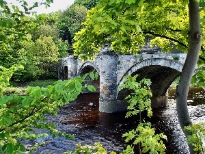 viewes, trees, bridge, landscape, River