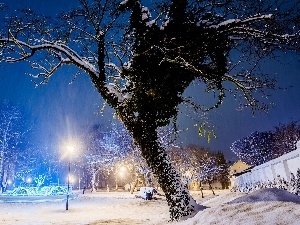 viewes, fountain, trees, Park, lanterns, winter