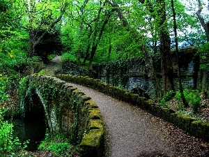 viewes, trees, Park, Moss, Path