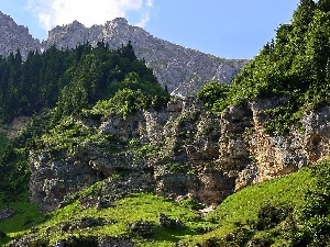 viewes, trees, rocks, Mountains, Stones