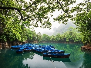 viewes, forest, trees, boats, Mountains, River