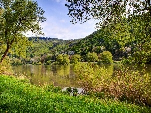 viewes, trees, Mountains, lake