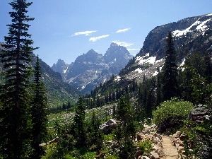 viewes, trees, Mountains, peaks