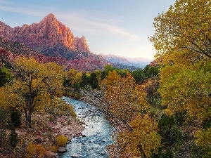 viewes, trees, Mountains, River