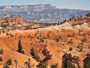 viewes, trees, Mountains, rocks