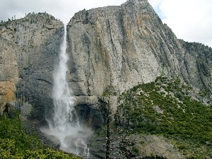 viewes, trees, Mountains, Plants, waterfall