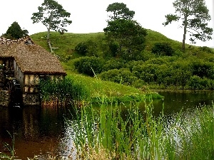 viewes, trees, Windmill, Plants, water