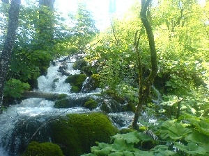 viewes, trees, waterfall, Plitvice, Stones