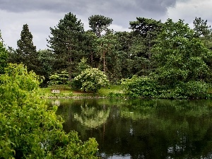 viewes, trees, Park, Pond - car