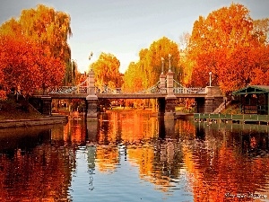 viewes, trees, River, bridge