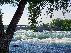 viewes, trees, River, bridge