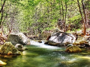 viewes, trees, River, Stones