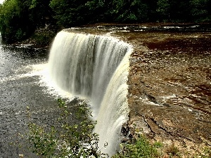 viewes, trees, River, waterfall