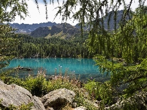 viewes, trees, Mountains, rocks, lake