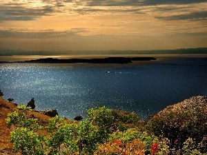 viewes, trees, sea, Islands