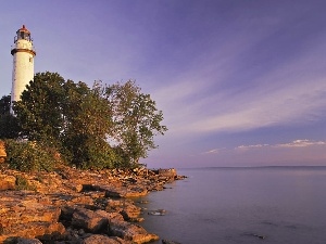 viewes, trees, sea, Lighthouses