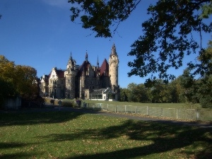 viewes, Towers, trees, Castle, shadows, scrotum