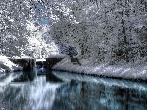viewes, trees, winter, snow, River