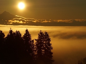 viewes, trees, Mountains, sun, clouds