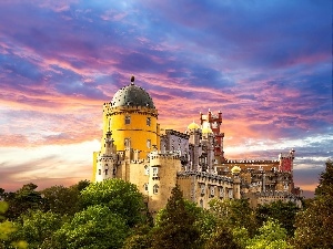 trees, viewes, palace