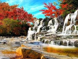 trees, viewes, waterfall