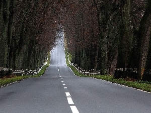 trees, viewes, Way