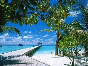 viewes, trees, water, pier