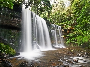 viewes, trees, waterfall, River